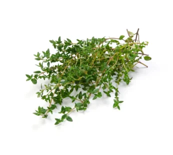 Thyme