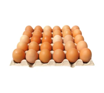 Chicken Eggs