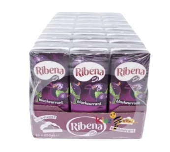 Ribena blackcurrant Juice  24 x 250ml