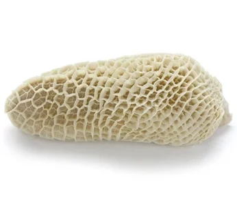 Frozen Honeycomb (Shaki)