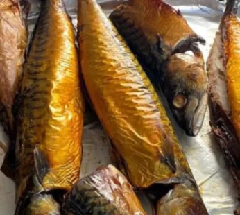 Smoked Fish – Smoked Mackerel-1