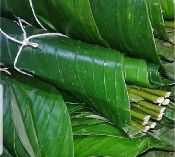 Fresh Moin-moin leaves (Banana leaf)