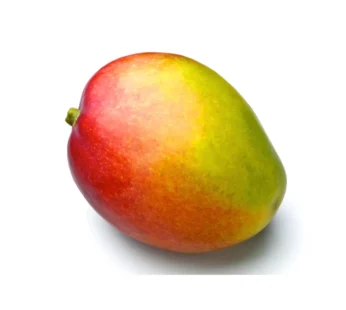 Mango-1pc