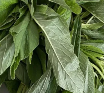 Fresh green leaf (Efo tete)